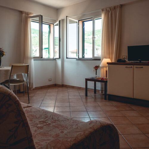 Ein-Zimmer-Apartment A3